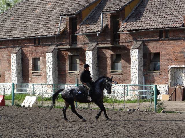Horse facility "Durok"