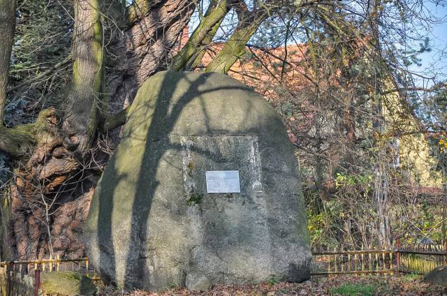Głaz narzutowy w Sulęcinie – pomnik przyrody