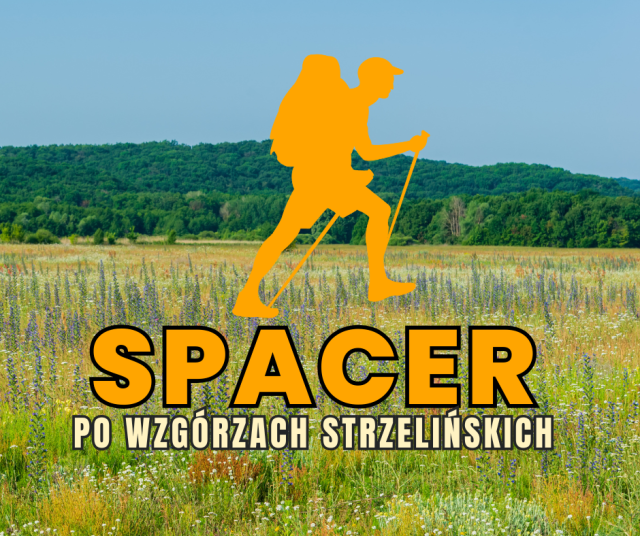 Spacer po Wzgórzach Strzelińskich 